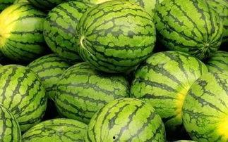 吃瓜网每日大赛 独家爆料免费吃瓜观看,吃瓜网每日大赛，免费瓜果盛宴等你来尝！