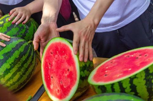 吃瓜长清大学体育生